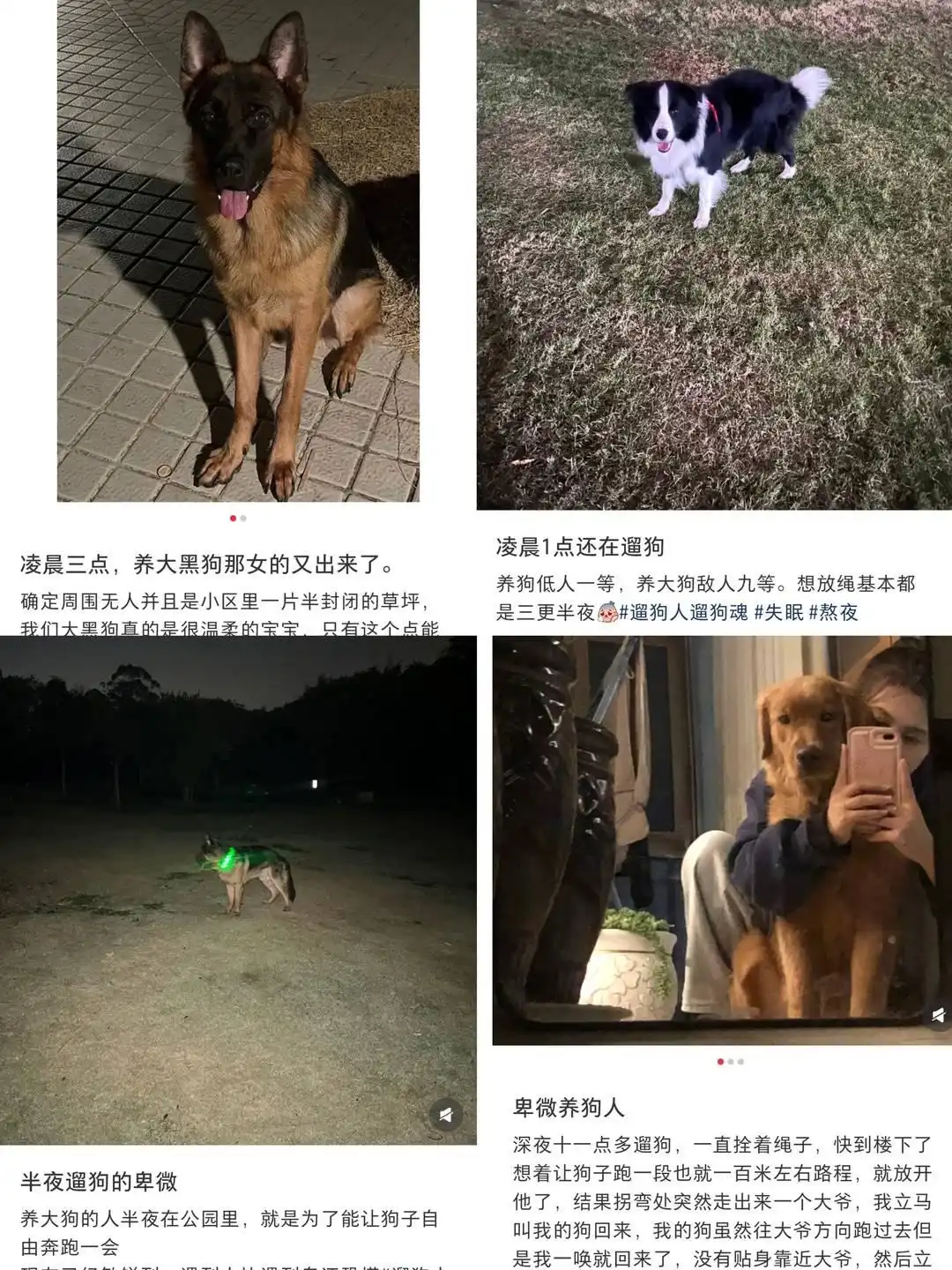 新修订的《中华人民共和国治安管理处罚法》正式落地实行 犬只不牵绳伤人处罚 宠物扰民违规饲养烈性犬法律惩戒_史上最严养犬令实施 律师全面解读