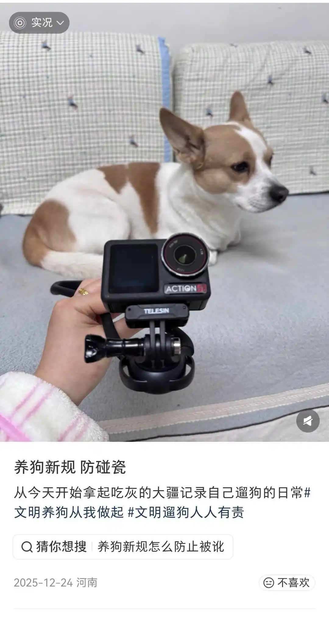 新修订的《中华人民共和国治安管理处罚法》正式落地实行 犬只不牵绳伤人处罚 宠物扰民违规饲养烈性犬法律惩戒_史上最严养犬令实施 律师全面解读