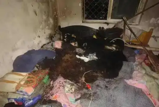 电热毯千万别这样用 快自查_电热毯低温烫伤压疮预防_整夜使用电热毯安全风险