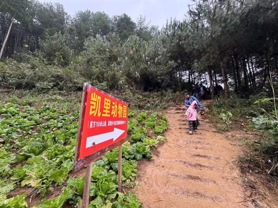 “史上最寒酸”凯里动物园迎来首个旅行团，园长：这是新的开端，明天还会有130多名游客的团队过来