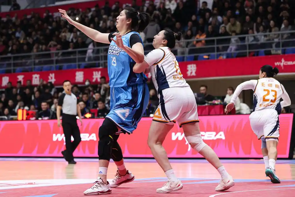 樊振东收获留洋生涯首冠_樊振东萨尔布吕肯_樊振东德国杯冠军