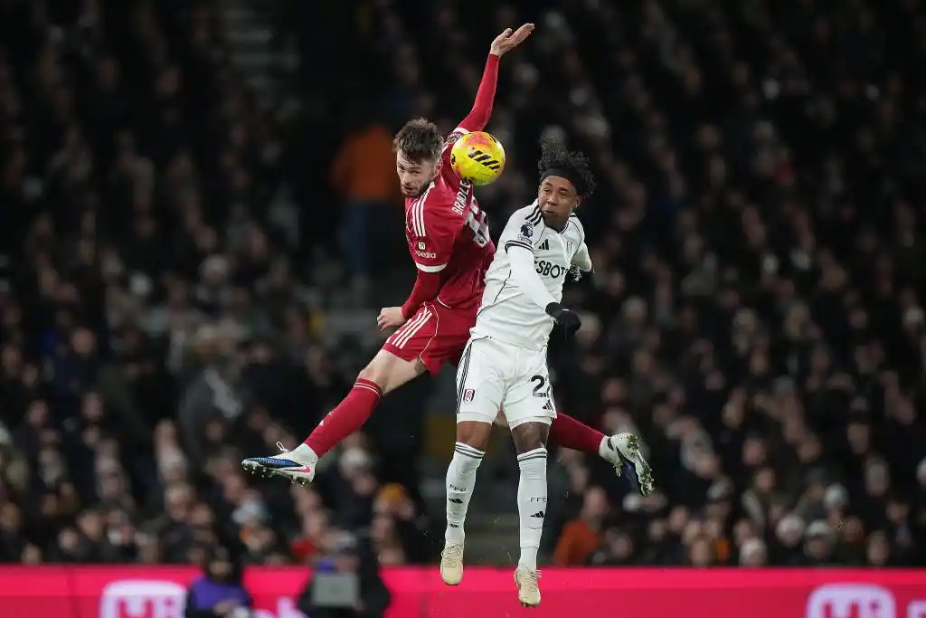 樊振东萨尔布吕肯_樊振东收获留洋生涯首冠_樊振东德国杯冠军