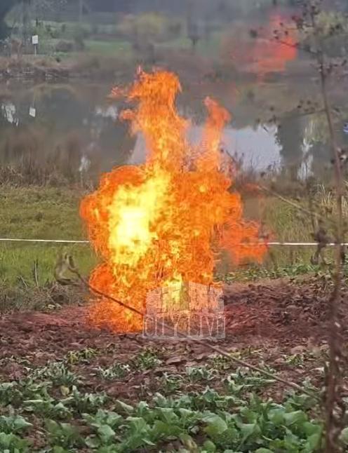 四川一菜地冒火已7天 专家前往检测 罕见地质异象引发关注