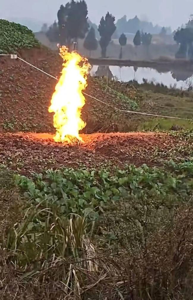 四川一菜地冒火已7天 专家前往检测 罕见地质异象引发关注