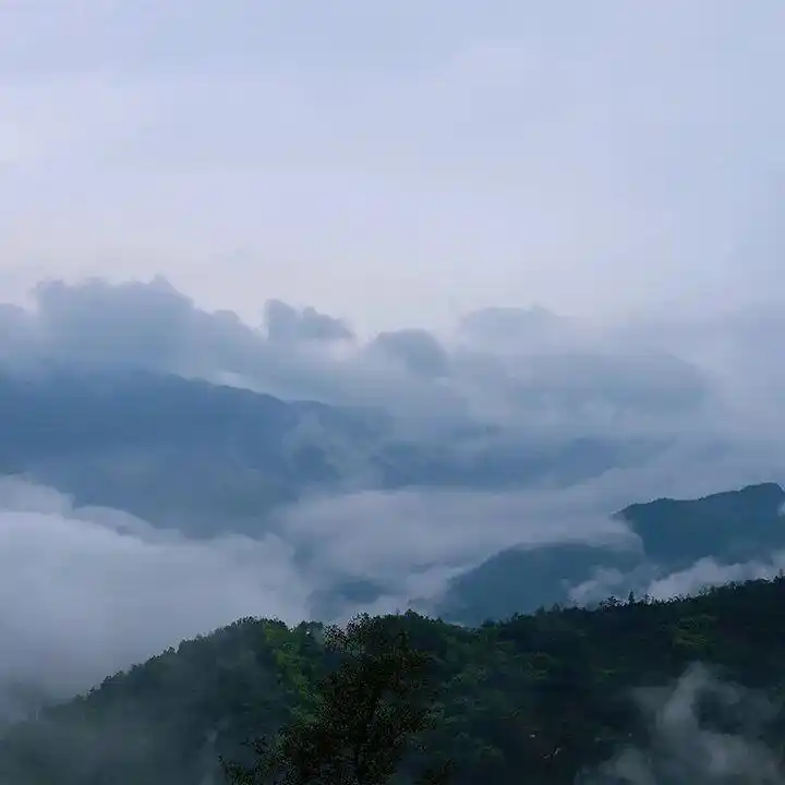 台风“巴威”来袭｜新凤鸣全员严阵以待，筑牢抗台防汛坚固防线！