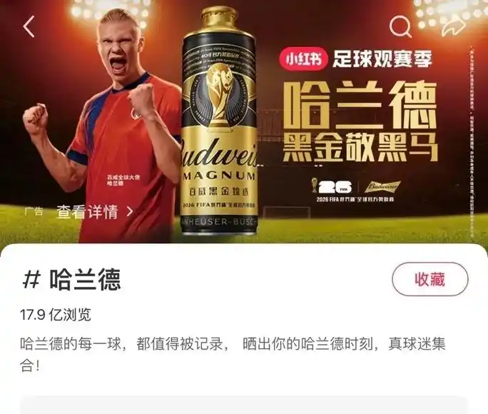 哈兰德世界杯夺冠概率分析_挪威英格兰谁能拿到四强席位_挪威队vs英格兰队世界杯四强