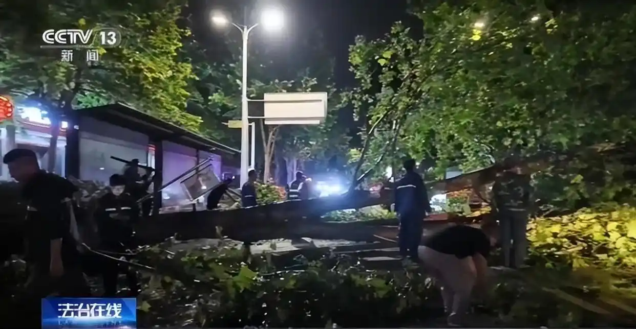 台风应急响应法律效力_台风来袭!请收好这份法律小贴士_台风巴威登陆福建浙江法律预警