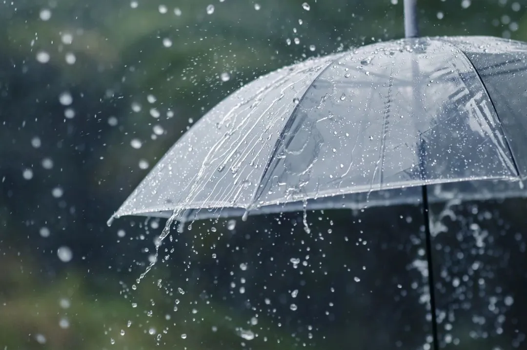 风雨来临不用慌，中国农大专家为你划重点！