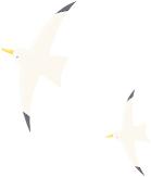 2026大连海岸赛艇环岛公开赛_2026大连国际徒步大会_大连海岸赛艇赛事
