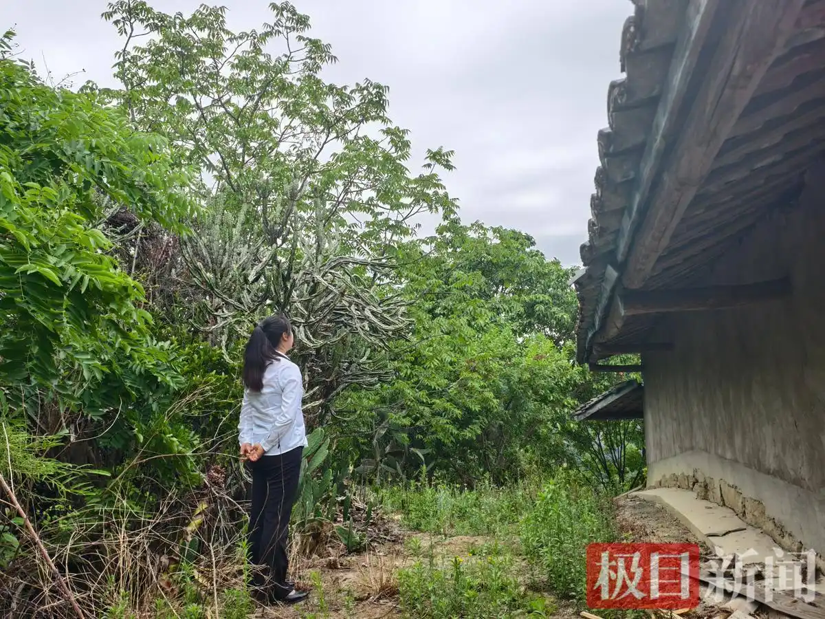 多名学生违背张桂梅忠告回到大山_华坪女高校长张桂梅事迹_华坪女高毕业生回到家乡当教师医生