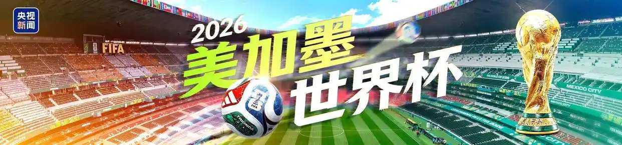 美加墨世界杯小组赛D组第二轮 巴拉圭1-0土耳其 加拉尔萨闪击破门_世界杯：土耳其vs巴拉圭