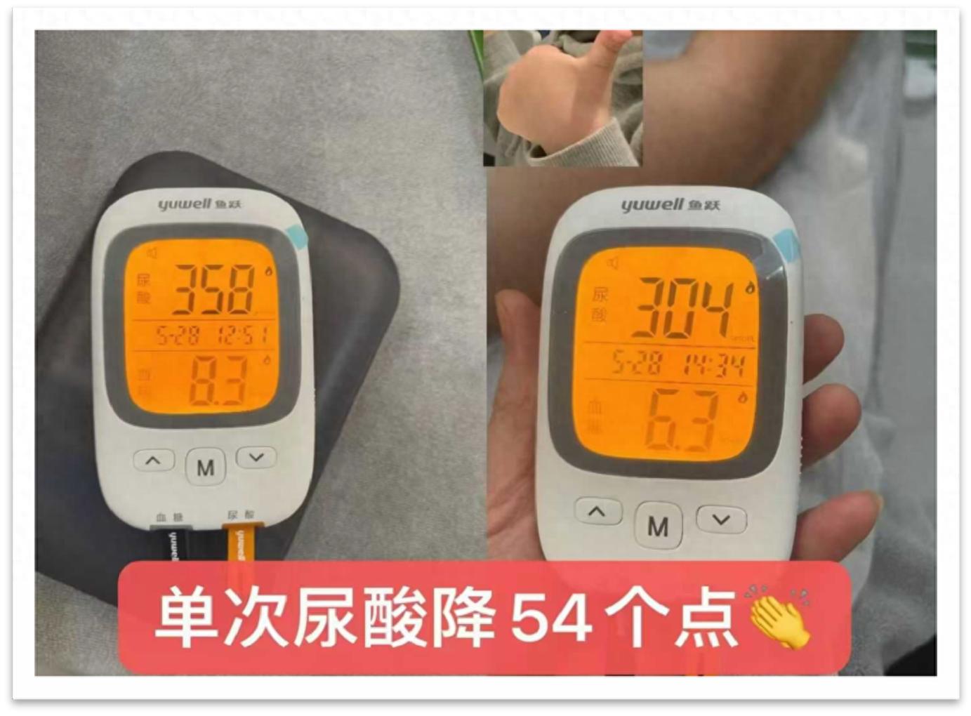 2026年调理型减肥企业大揭秘，哪家才是最可靠之选？