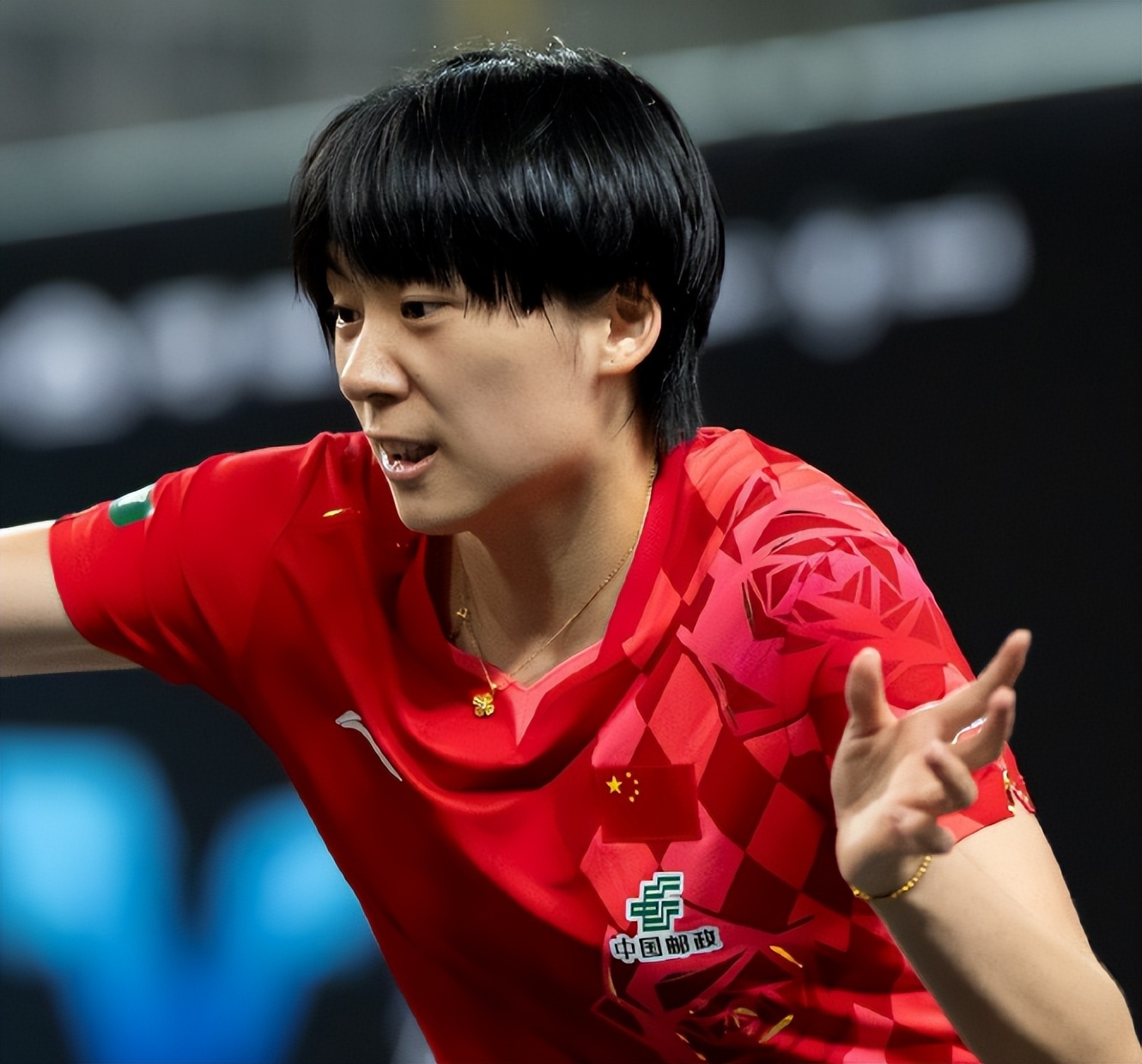 乒乓球王励勤_梯队建设问题分析_国乒年轻队员表现不佳
