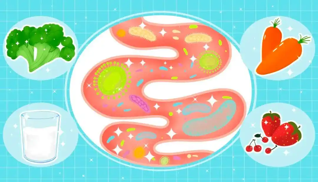 肌肉能减掉吗_科学减重存肌肉_控制总能量摄入保持合理膳食