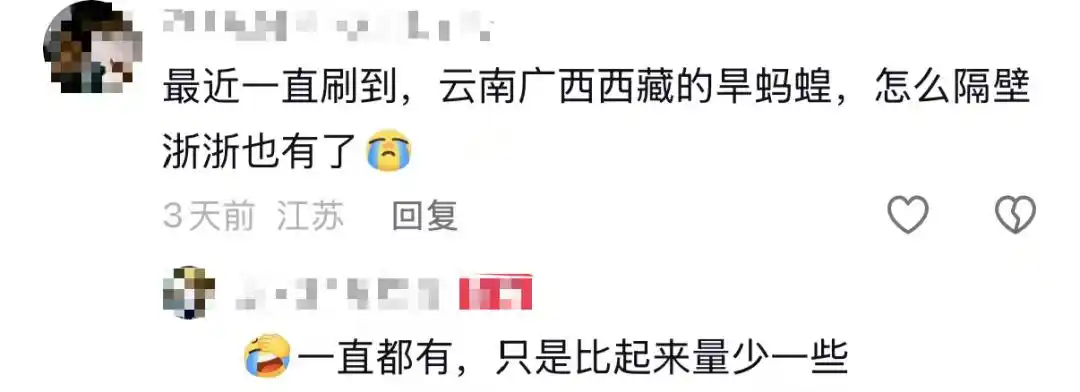 蚂蟥的医用价值介绍_女子山间徒步遭蚂蝗吸血全程无感_徒步被蚂蟥咬伤处理方法