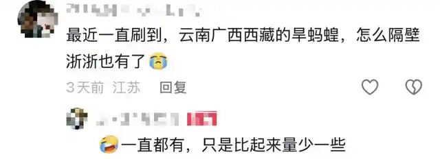 蚂蟥叮咬后如何止血_被蚂蟥叮咬没有痛感原因_女子山间徒步遭蚂蝗吸血全程无感