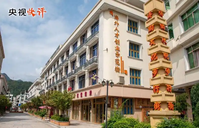 促进海内外中华儿女团结奋斗_习近平总书记侨务工作指示_海外侨胞贡献