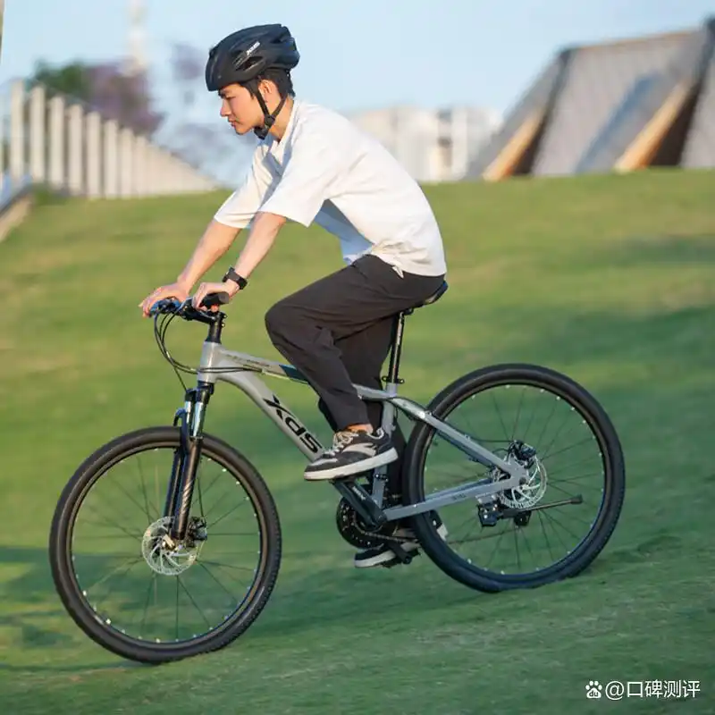 山地自行车品牌排行榜_山地车什么品牌好_京东京造山地车推荐