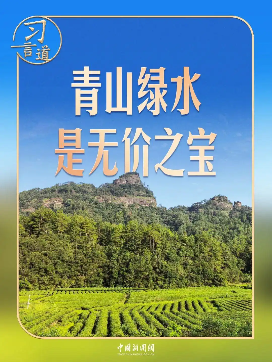 习言道|走进茶园,习近平强调做好这篇“大文章”